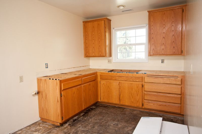 Kitchen Storage Replacement in Carmel, IN